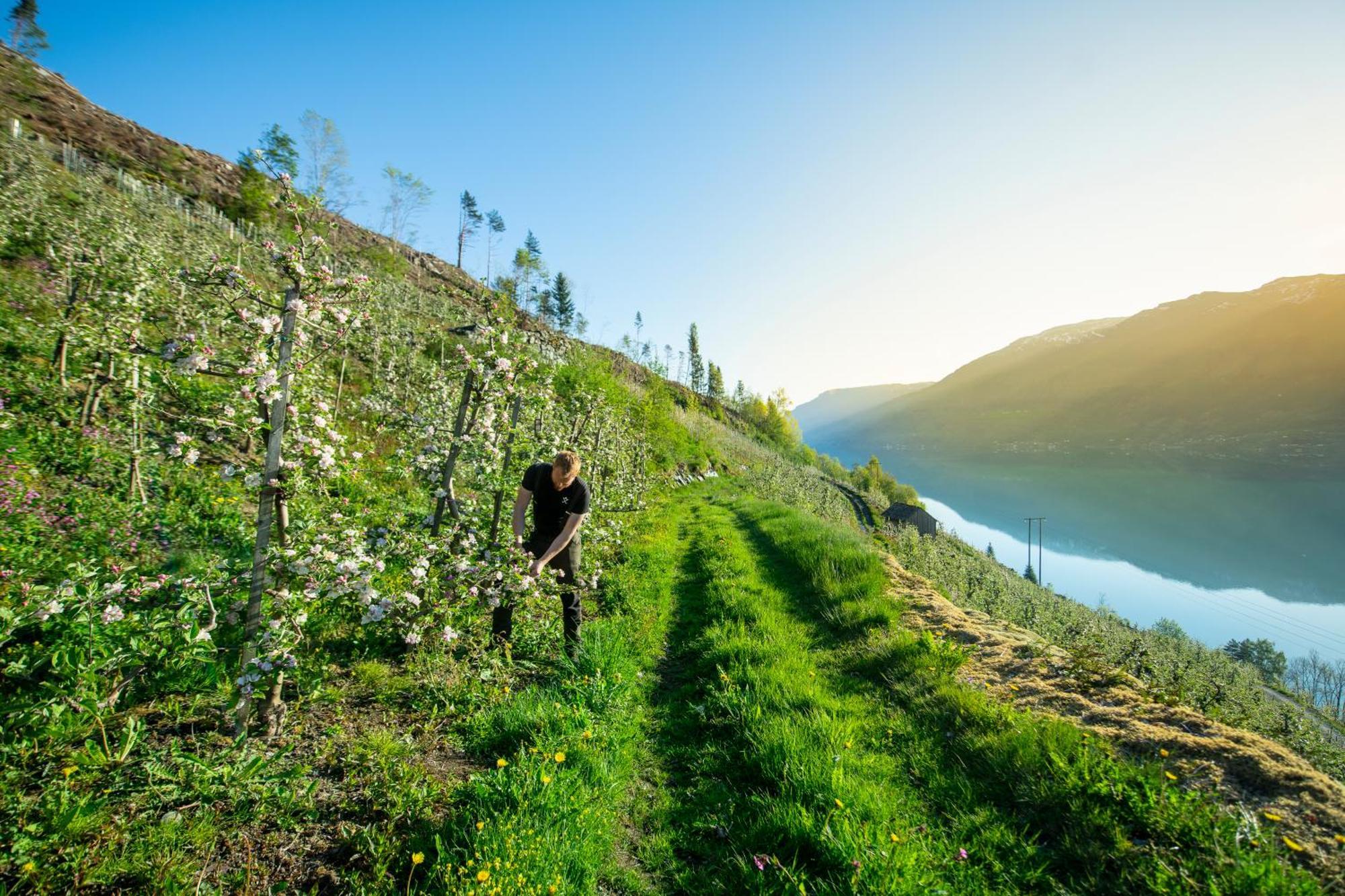 Odda Atmosphere Dış mekan fotoğraf